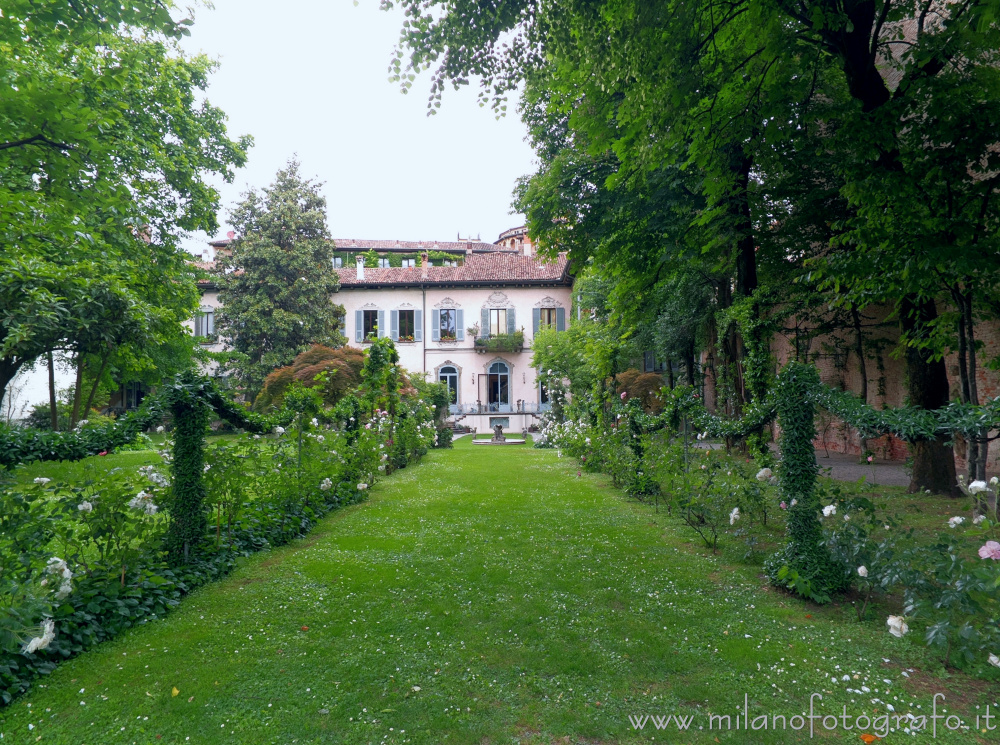 Milan (Italy) - Rose garden in the park of House of the Atellani and Leonardo's vineyard